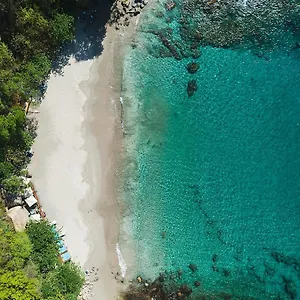 Cap Maison & Cap Estate