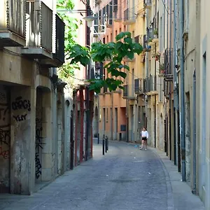 https://girona-housing-ginesta-9.catalonia-hotels.com